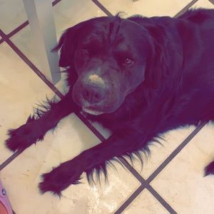 Meet your Posher, Jillian